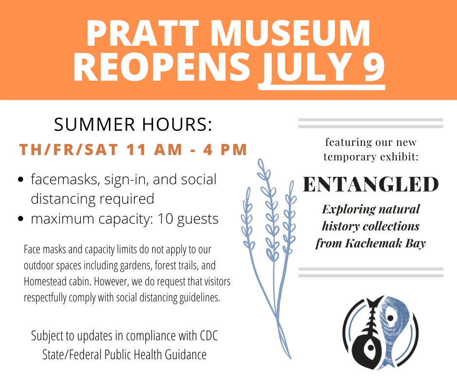 This image has an empty alt attribute; its file name is graphics.png